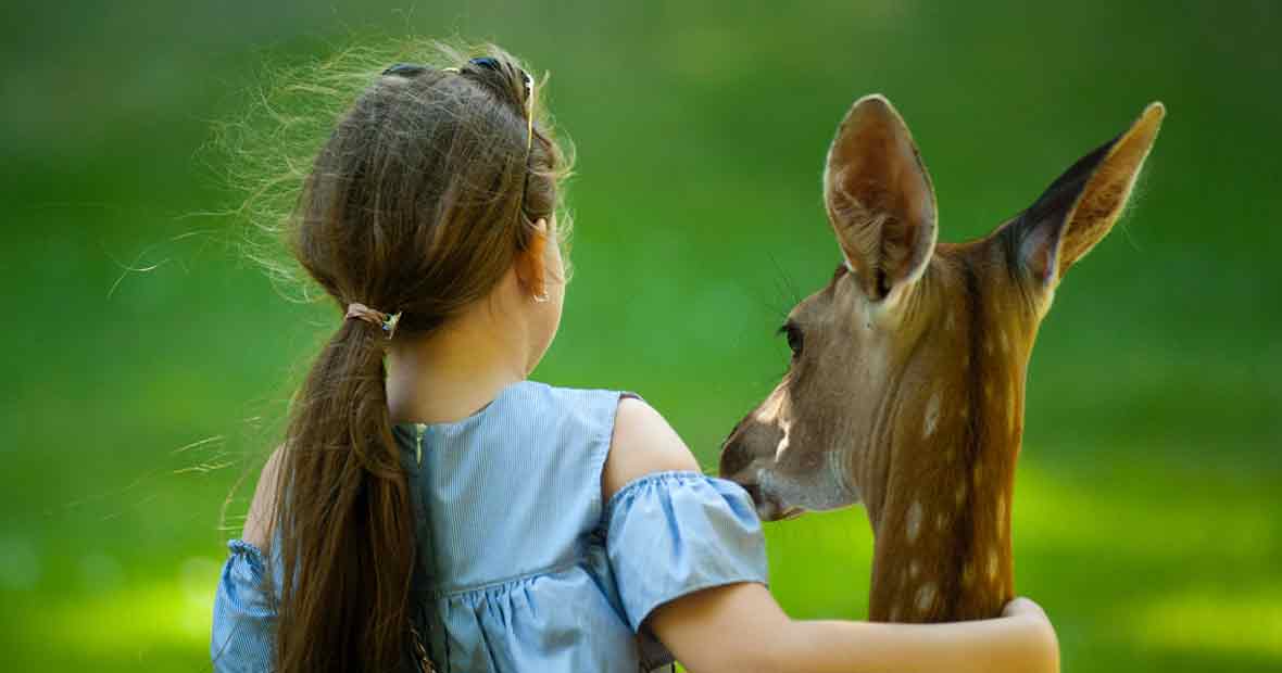 Parc animalier